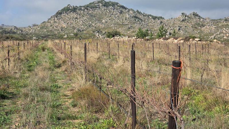 3 Bedroom Property for Sale in Piketberg Rural Western Cape